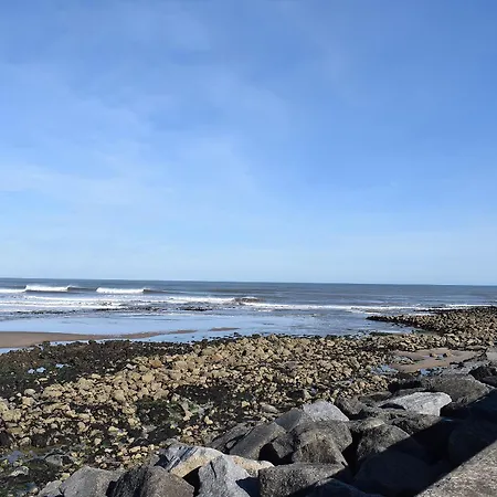 Sea Blue * Scarborough
