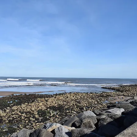 Sea Blue Скарборо